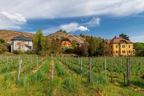 Radebeul