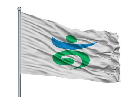 Takaoka City Flag On Flagpole, Country Japan, Toyama Prefecture, Isolated On White Background