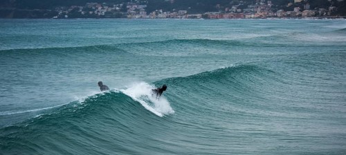 Surfer on a wave