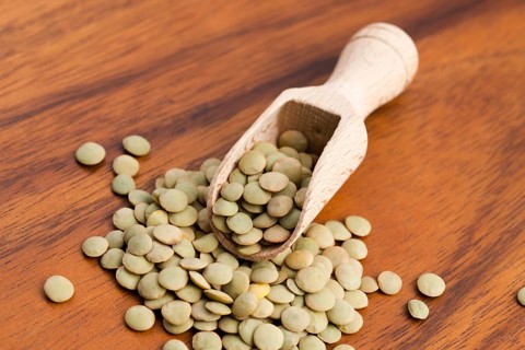 Dry Organic Green Lentils, lodz, poland