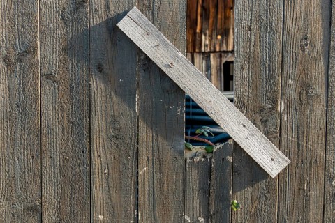 Sapling and old wooden fence, symbolising life, growth, new beginnings, strength, hope Austria