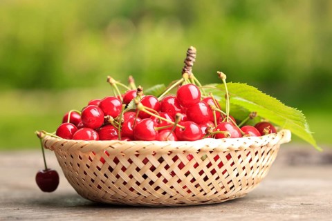 Sweet cherries in basket outdoor