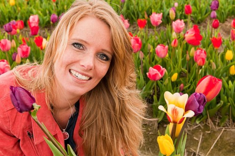 Young blond woman is picking tulips in Dutch flower fields