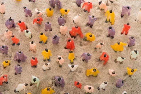 People crowd standing in sand