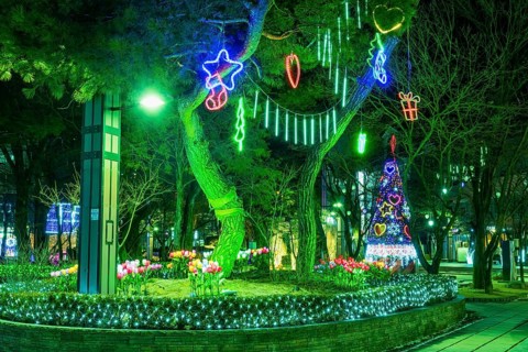 Taebeck, South Korea. January 29, 2019: Lights hanging from trees with Christmas tree in background