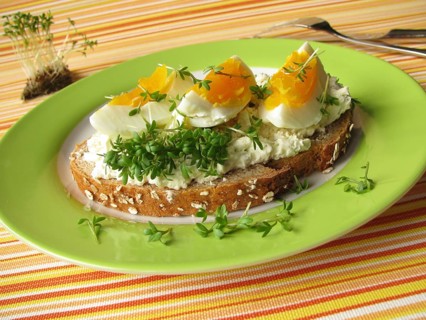 Wholemeal spelt bread with cream cheese, cress and egg