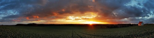 Panorama, sunset in the Ried