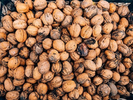 Many walnuts. Nuts in a box. Texture nuts