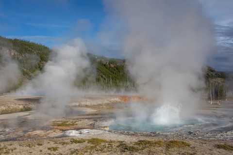 Geyser, Black Sand Basin, Yellowstone NP