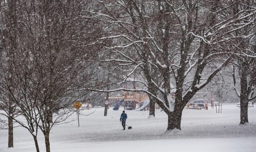 Heavy snow squalls of lake-effect snow falls over Springbank Park in London, Canada. Environment
