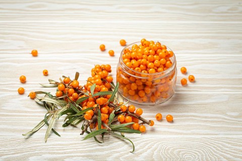 Sea buckthorn ripe berries in glass jar and branches with leaves top view on white wooden rustic
