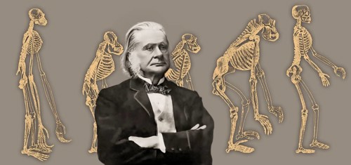 Portrait of Thomas Henry Huxley, 1825 – 1895, English biologist and anthropologist, specialized in