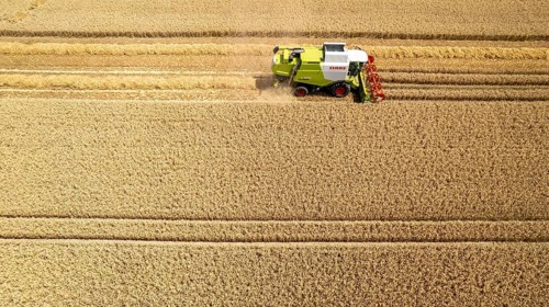 Grain harvest in a field near Recklinghausen