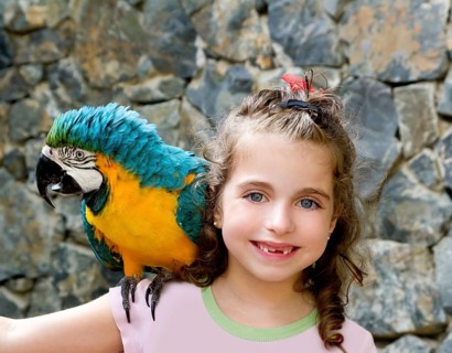 Blue eyes child girl with yellow parrot in her shoulder