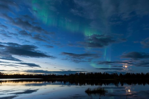 Northern Lights (Aurora borealis) over a forest lake, Norrbotten, Lapland, Sweden, August 2013,
