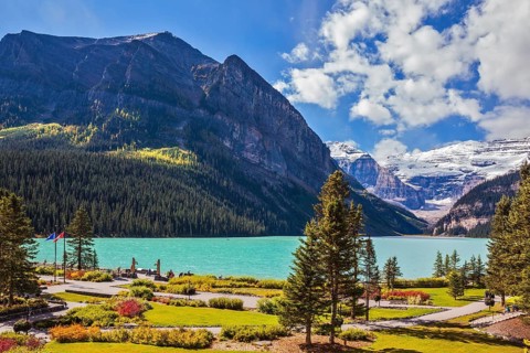 Banff National Park, Rocky Mountains, Canada. Flowers on the embankment of glacial Lake Louise.