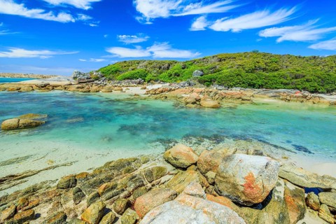 Scenic Madfish Island has the best William Bay rock pools. William Bay NP, Albany region, Western