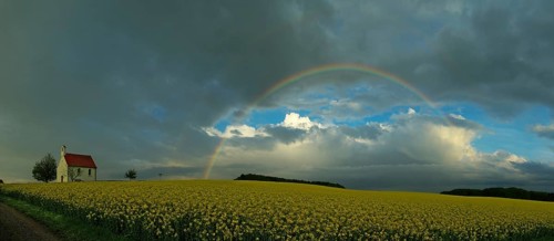 Panorama, chapel and rainbow over a rapeseed field