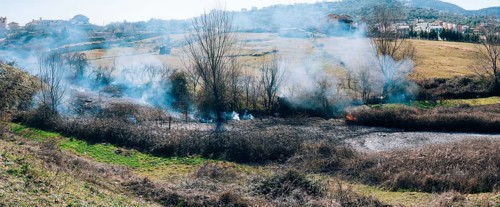 Fire in the woods in the afternoon. Albanian forest is burning near the highway