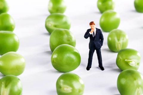 Figure of a businessman with fresh peas