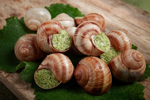Grape snails stuffed in Burgundy, on a wooden board, French cuisine, no people