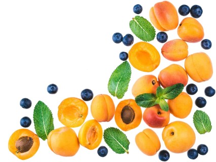 Apricot, blueberry and mint, isolated