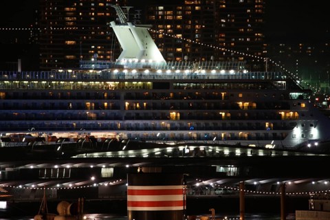 Luxury liner which is visible from the hill park with views of the harbor (Coral Princess).