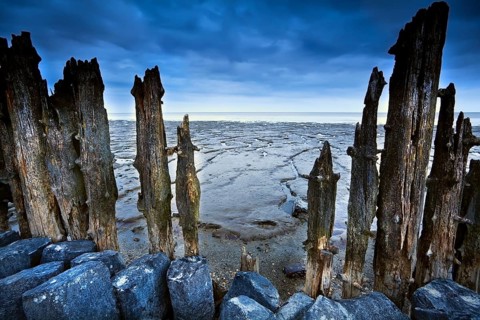 Wooden dike and mud at low tide on north sea