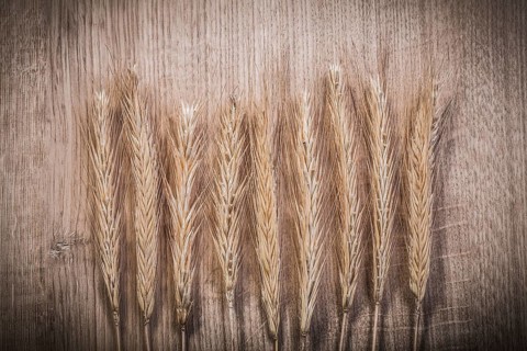Ripe wheat and rye ears on wooden board food and drink concept