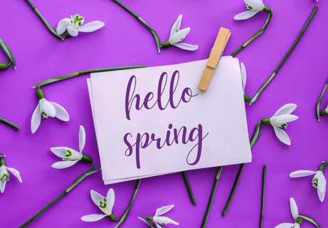 Greeting card text HELLO SPRING lettering with snowdrop flowers. Early spring flowers. Springtime.
