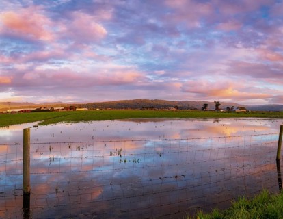 A barbed wire fence crosses a flooded pasture at sunset., Northern California, USA, North America