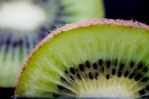 Kiwi Fruit Macro studio shot close up green