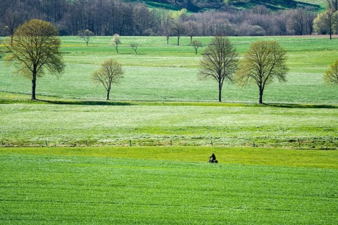 Cycle Route R1, near Gewissenruh, Wesertal, Weserbergland, Hesse, Germany, Europe