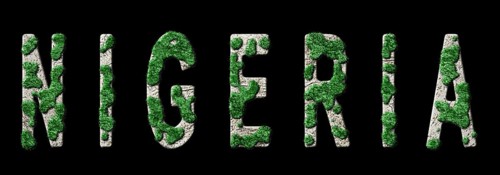Nigeria Reforestation and Climate Message, Sustainable Green Typography, Green Agenda