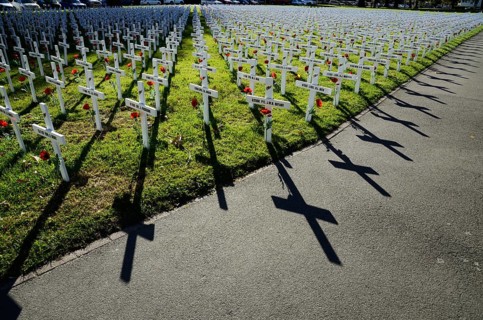 A field of crosses represents those who died in the Great War for a memorial on Anzac Day in