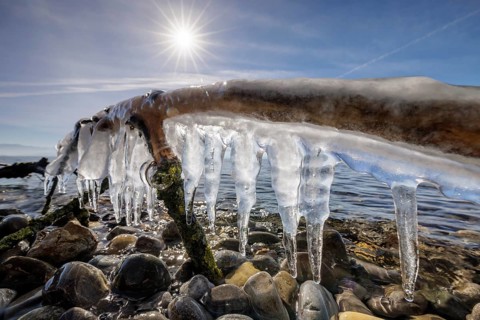 Strong sun shining over icicles hanging from a branch over stones, harbour, Gohren, Lake Constance,