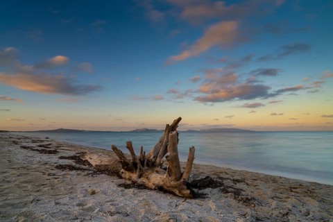 Old driftwood on a sandy beach with turquoise ocean water and a colorful sunset sky