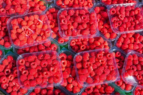 Fresh raspberries in trays on a market stall for sale, Bremen, Germany, Europe
