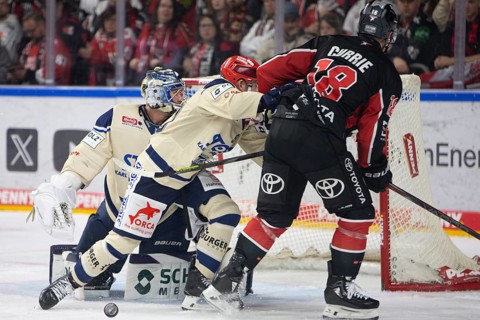 LanxessArena, Cologne, North Rhine-Westphalia, Joshua Currie (Cologne Sharks, #18), PENNY DEL,