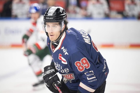 Laura Dick Cologne, LanxessArena, North Rhine-Westphalia, Gregor Macleod (Cologne Sharks, #89),