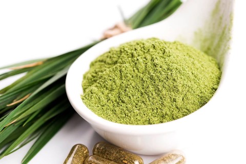 Young barley graß Detox superfood