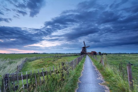 Dutch farmland with windmill in morning, Netherlands