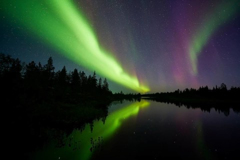 Northern Lights (Aurora borealis) over a lake, Norrbotten, Lapland, Sweden, September 2014, Europe