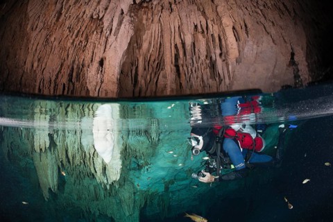 Diver in Bat Cave Cenote, Playa del Carmen, Yucatan Peninsula, Mexico, Central America