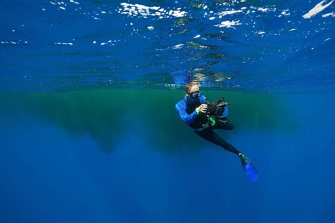Snorkellers swimming in sperm whale excrement, Physeter macrocephalus, Caribbean, Dominica, Central