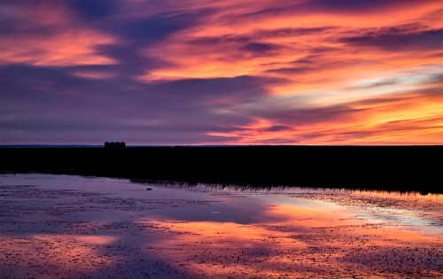 Sunset Rural Saskatchewan near Moose Jaw farmland
