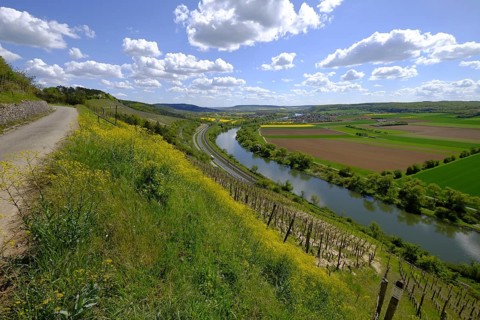 Landscape and vineyards near Stetten with a view of the Main valley, Main-Spessart district, Lower