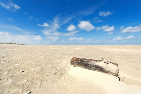 Wooden pole at the beach of Dutch wadden island Terschelling