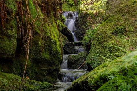Water cascades on the Gelobtbach stream, Elbe Sandstone Mountains 7