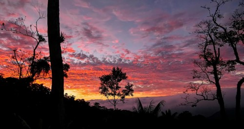 Colorful sunset sky in Serra da Mantiqueira with tree silhouettes in foreground, Itatiaia, Brazil,